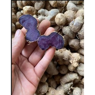 500g-GỪNG Đ.E.N Đậm (n.g.ai đen) mới nhổ