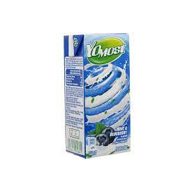 Sữa Chua Uống YoMost Bạc Hà Việt Quất 170ML