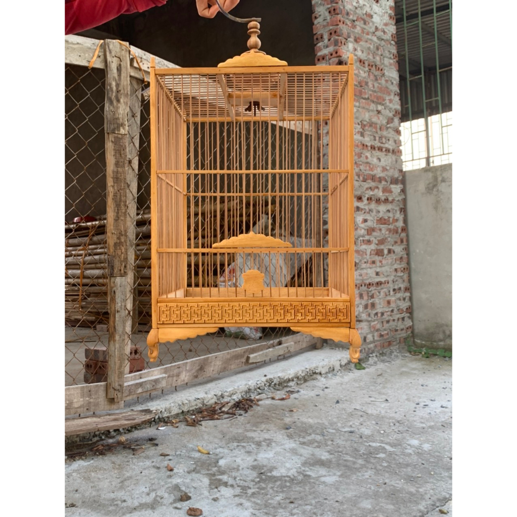 Khung loongfchim hút mật tự ráp