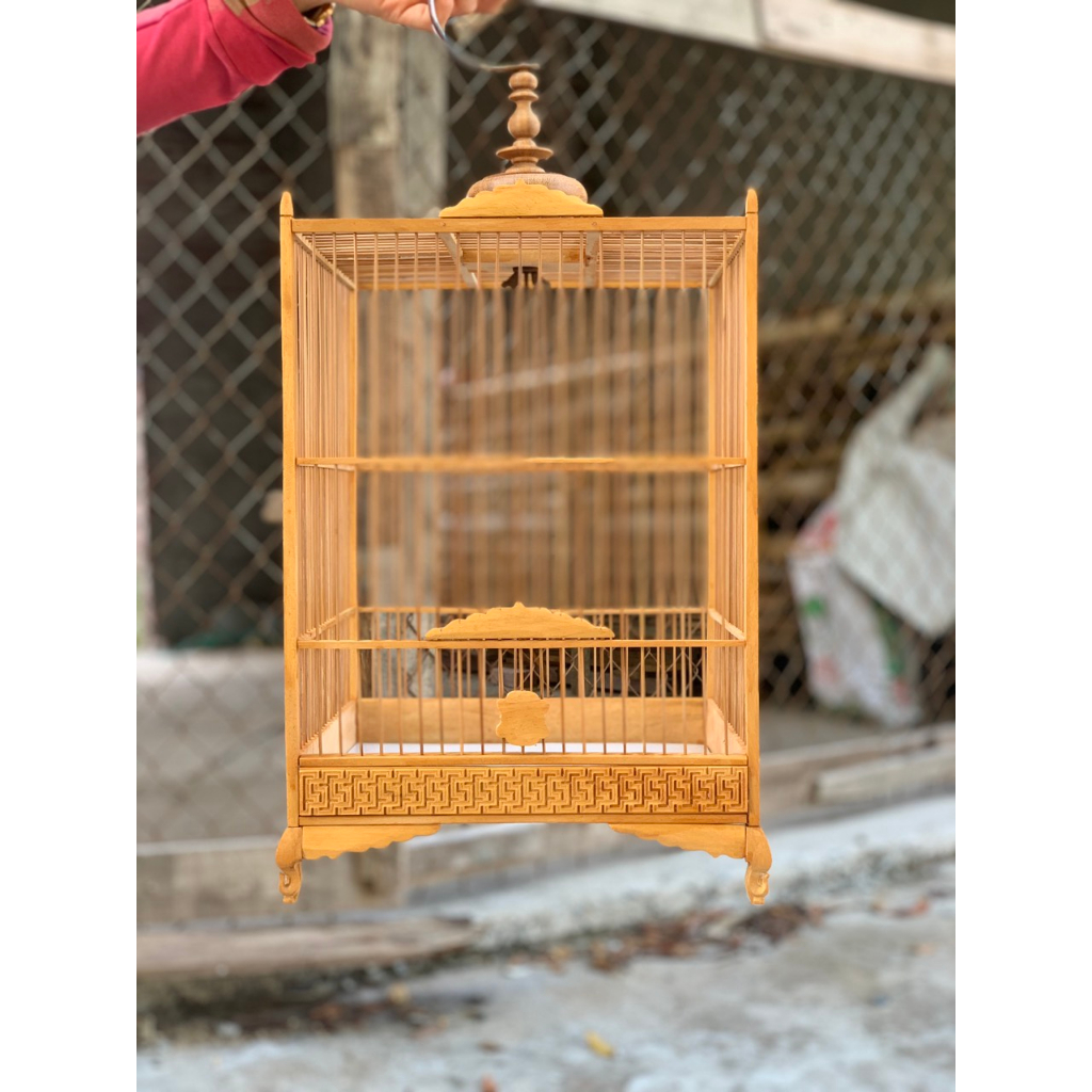 Khung loongfchim hút mật tự ráp