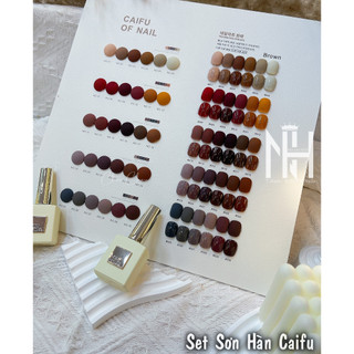 Set Sơn Hàn tông nâu cao cấp, Sơn gel cao cấp. Sơn Caifu. phụ kiện nail cao cấp. tặng bảng màu như hình