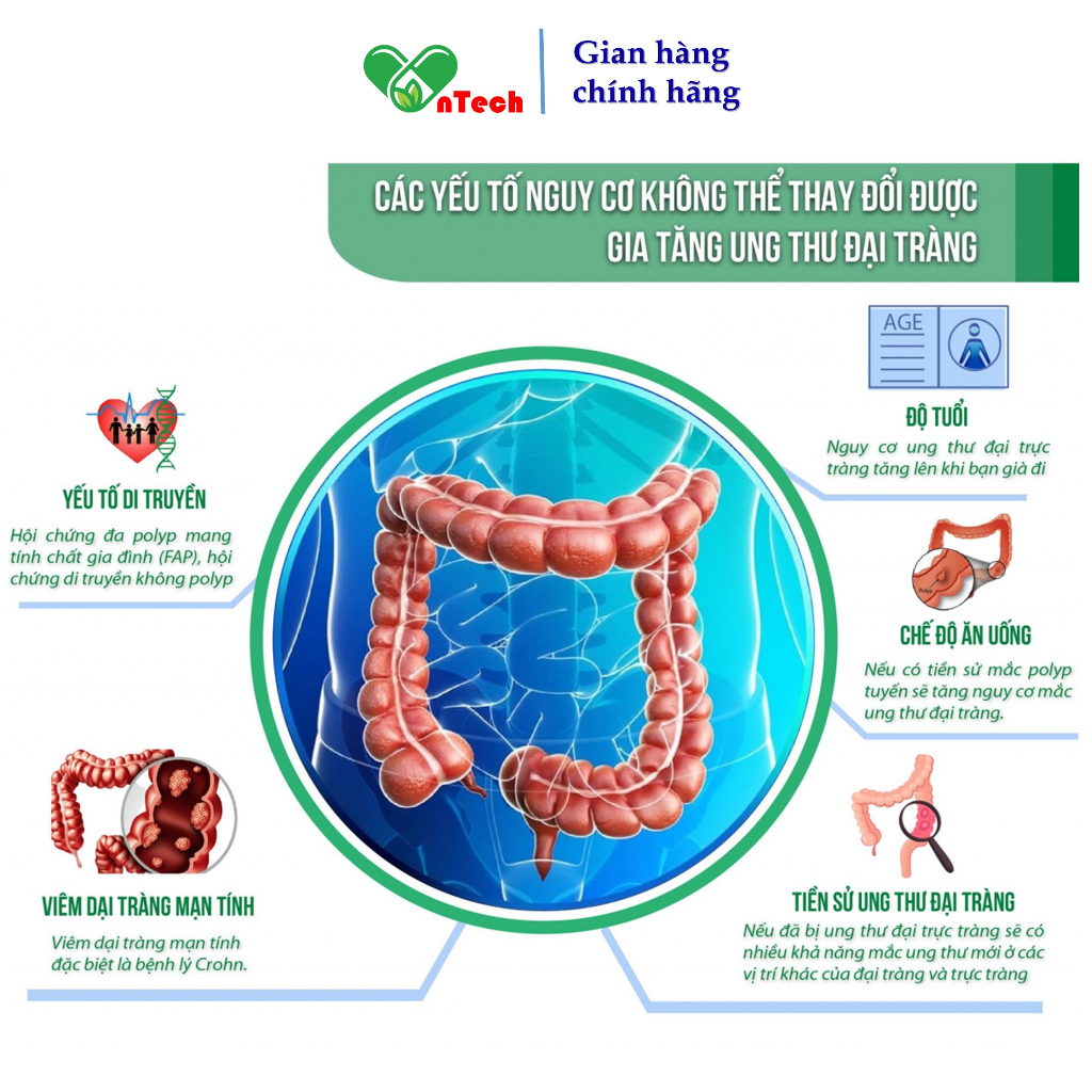 Đại tràng NZ-COLON C Hỗ trợ giảm các triệu chứng rối loạn tiêu hoá táo bón khó tiêu đi ngoài nhiều lần do viêm đại tràng