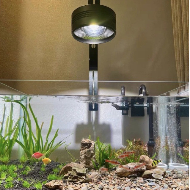 Đèn thủy sinh Ledesk - Dòng đèn hoàn hảo cho bể cá cảnh Biotope