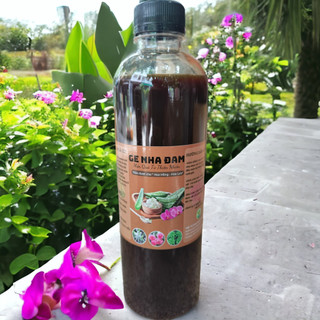 Ge nha đam- phân bón hữu cơ và làm mát giải độc cây, thần dược cho cây trồng -500ml
