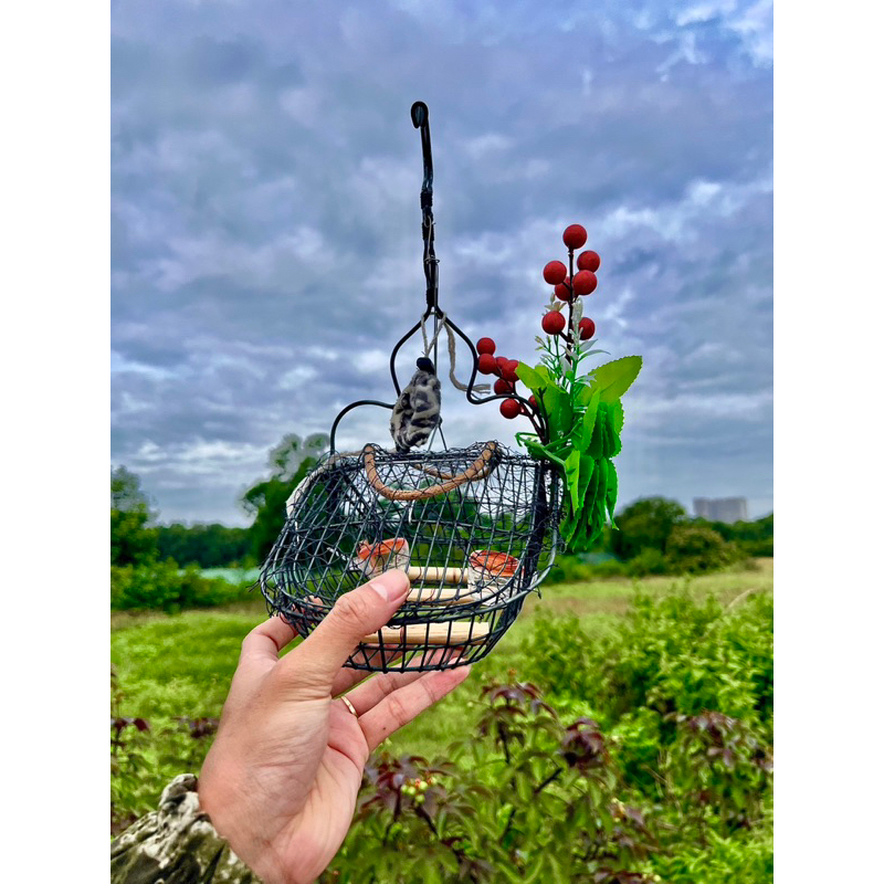 Lồng bẫy chim khuyên, hút mật, sâu, 5 màu, ốc mít