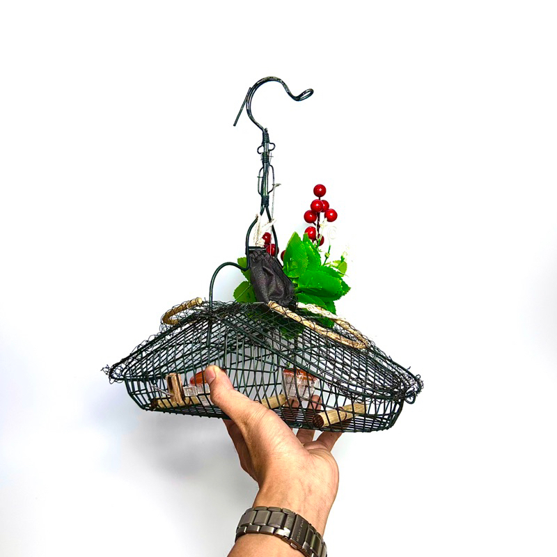 Lồng bẫy chim khuyên, hút mật, sâu, 5 màu, ốc mít