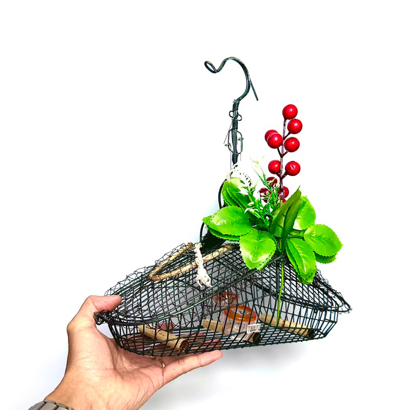 Lồng bẫy chim khuyên, hút mật, sâu, 5 màu, ốc mít
