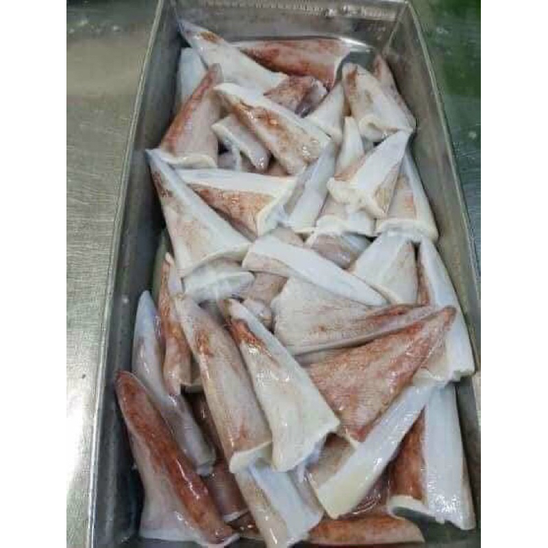 Đuôi mực ống đại dương bự chà bá Bịch 1kg