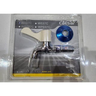 Vòi rửa Lạnh ( Vòi Hồ ) Gắn Tường CAESAR W027C