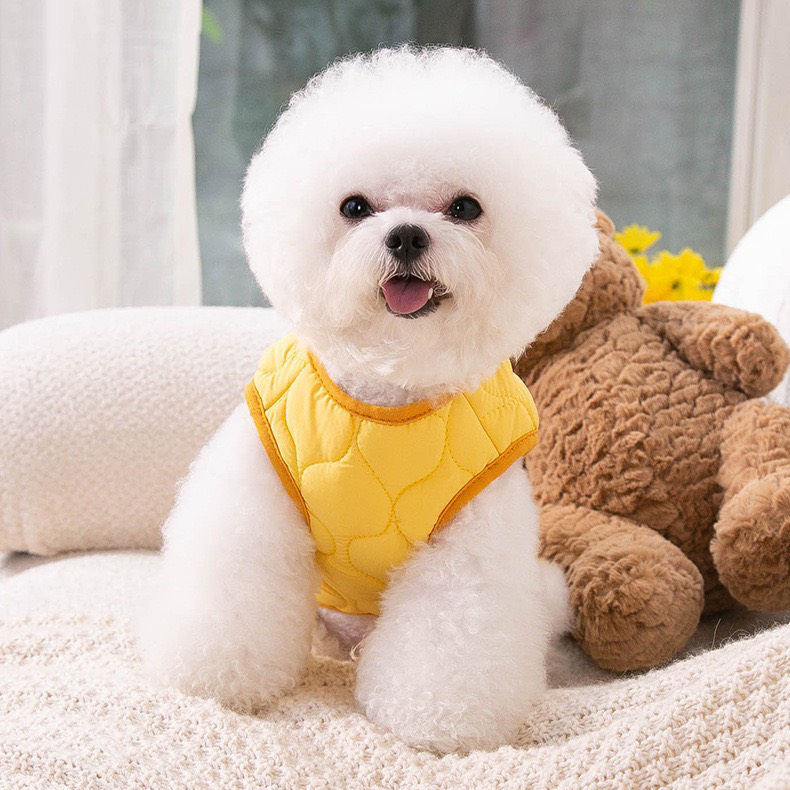 Áo cho thú cưng kiểu dáng gile vải chống thấm trần bông thêu gấu đáng yêu có 2 màu