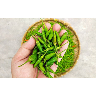ỚT THÓC (ỚT GIÓ) XÓC MUỐI CAY THƠM CUỐN HÚT