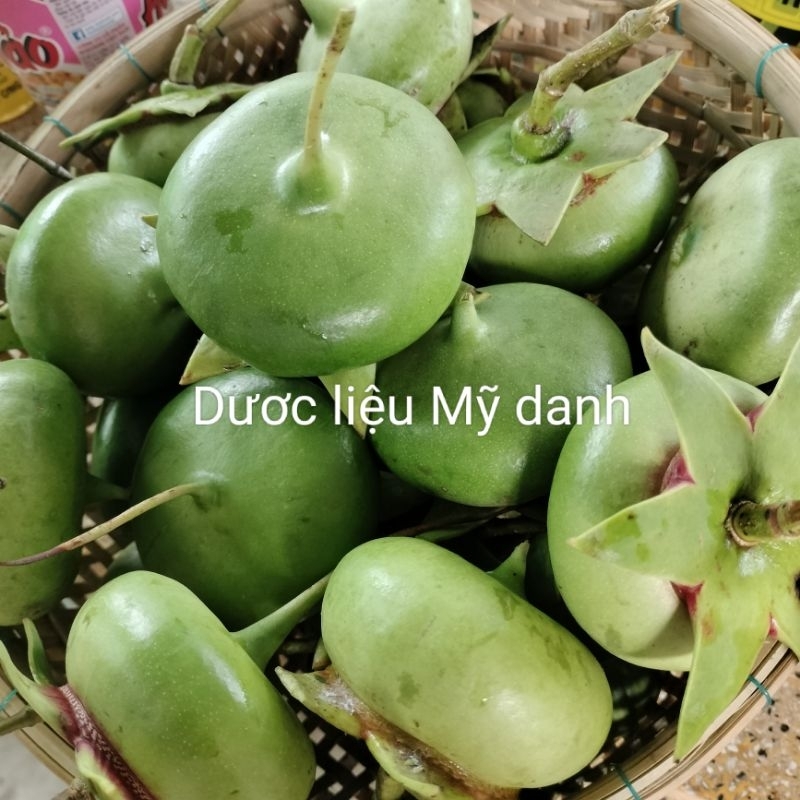 Trái Bần già, bần non, bần phơi khô(hái theo yêu cầu)