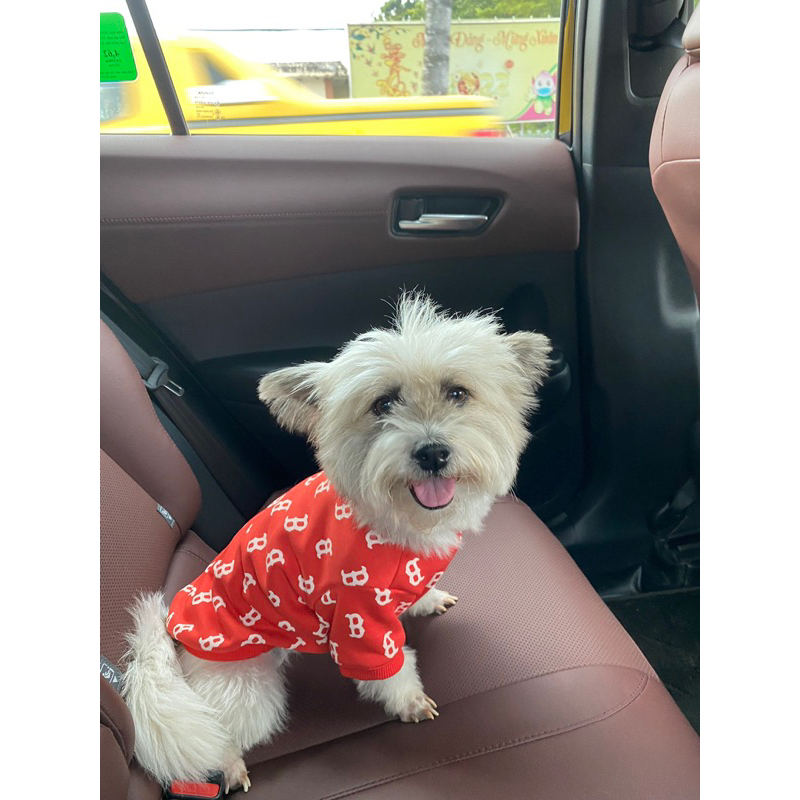 Áo nỉ NY cho chó mèo