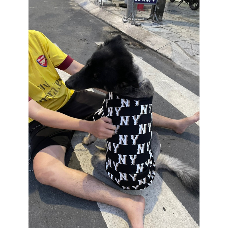 Áo nỉ NY cho chó mèo