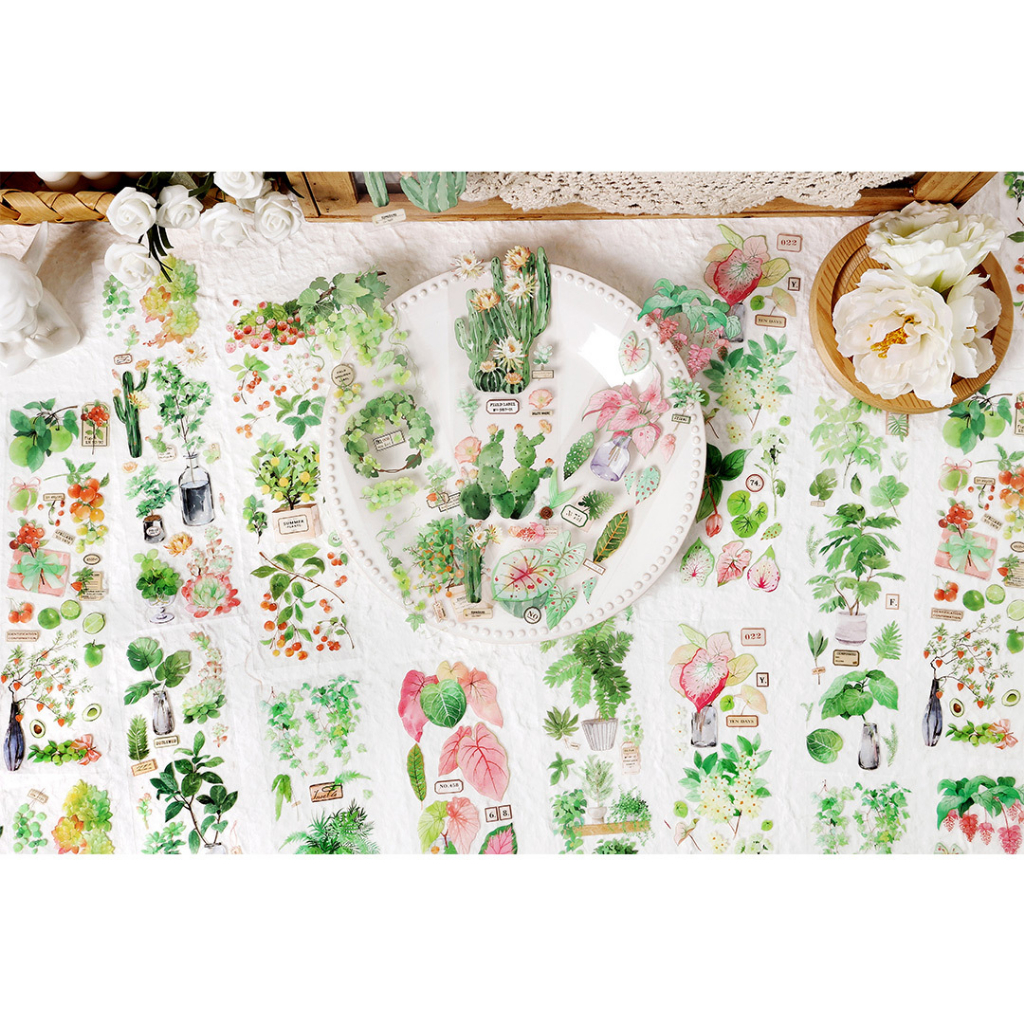 STI114 Hình dán Savage growth xanh lá set 6 miếng