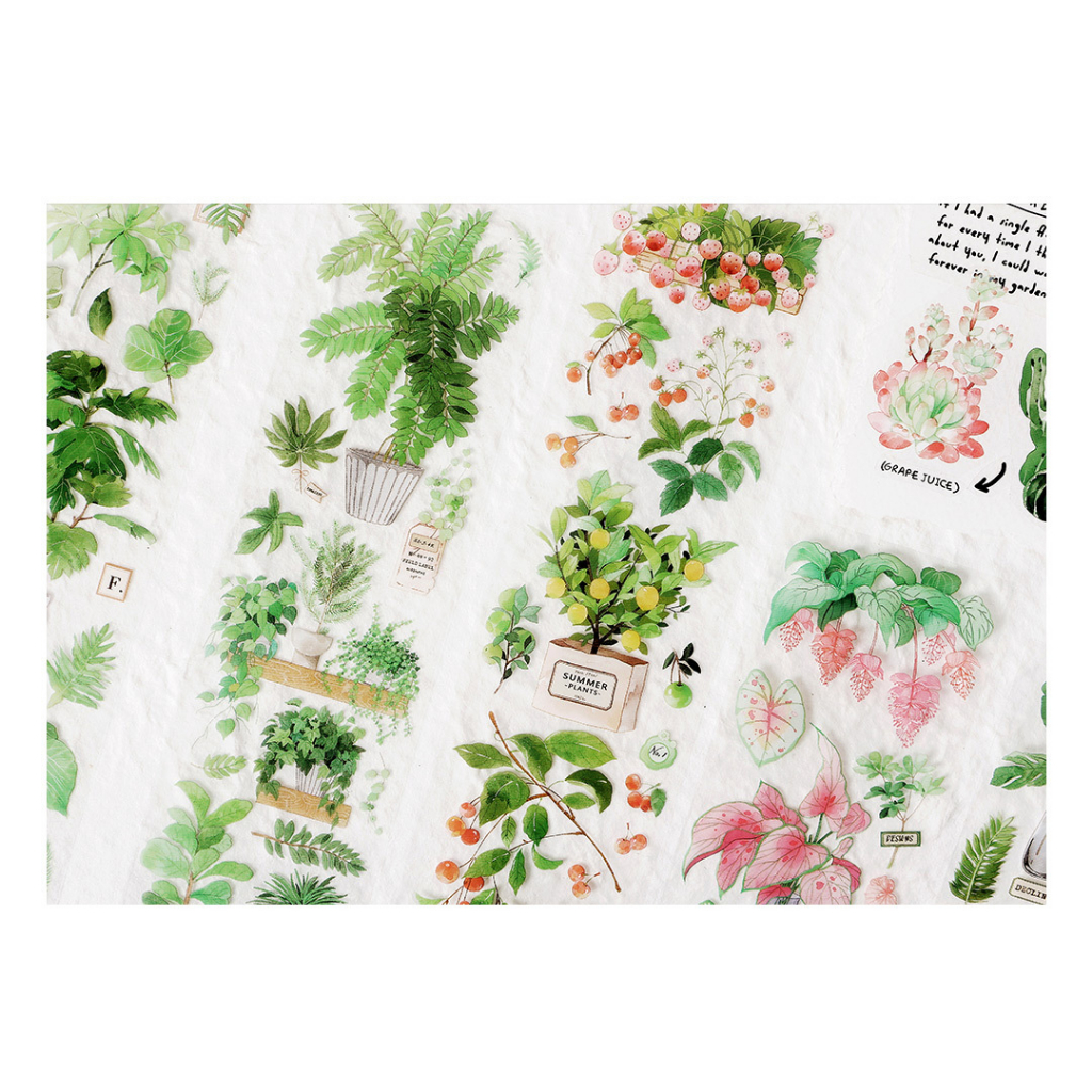 STI114 Hình dán Savage growth xanh lá set 6 miếng