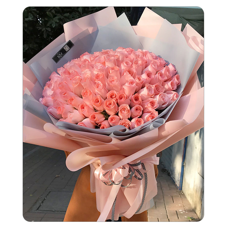 Giấy Gói Hoa 1 Màu Bóng Mờ Không Thấm Nước