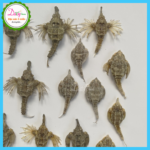 Hải Yến Khô Vũng Tàu - Set 10 Con Hải Yến Ngâm Tăng Cường Si.n.h L.ý