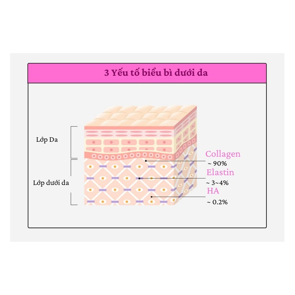 Renew Collagen Wellit  Booster Ample Hàm Lượng Cao 15000mg Trẻ Hóa Tái Tạo Da Trắng Da 14 chai x50ml