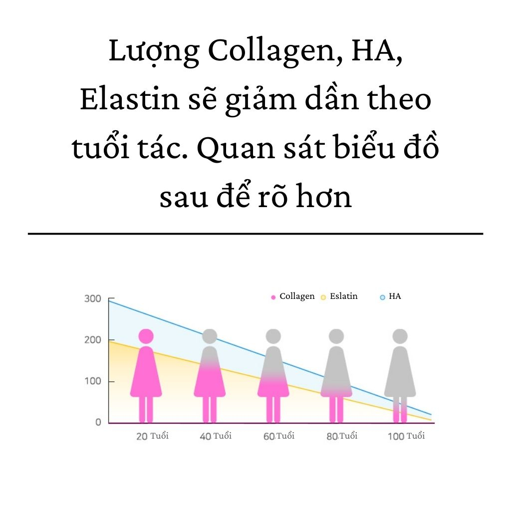 Renew Collagen Wellit  Booster Ample Hàm Lượng Cao 15000mg Trẻ Hóa Tái Tạo Da Trắng Da 14 chai x50ml