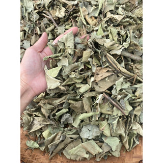 500g. lá vối khô đẹp thơm