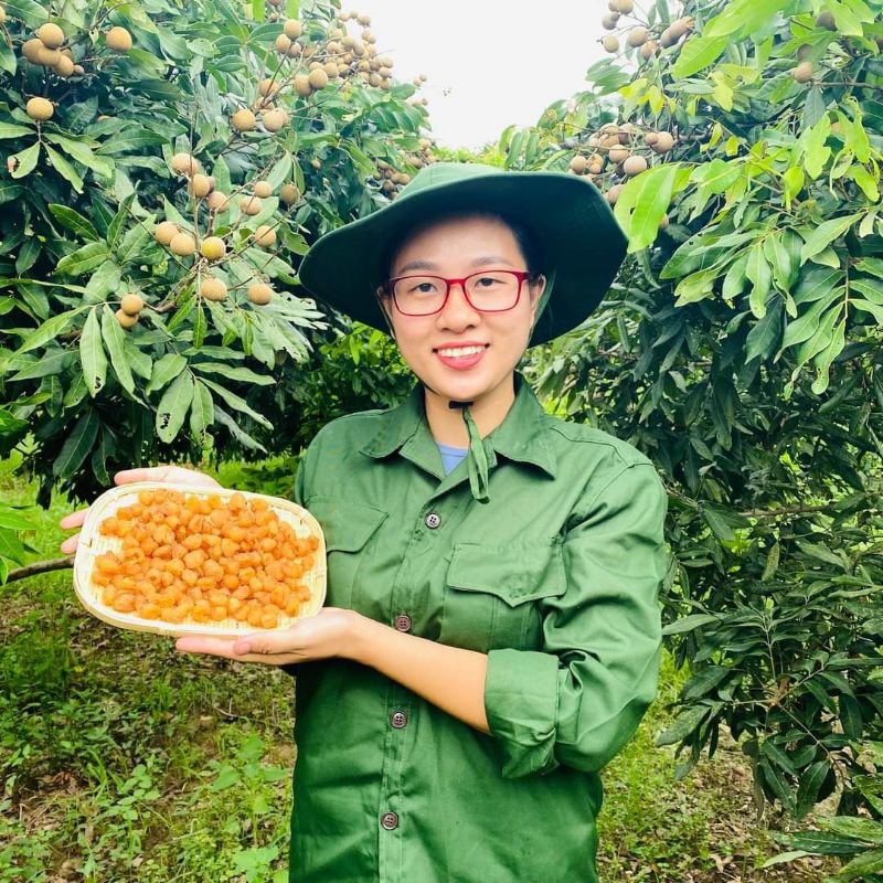 Long nhãn sấy lạnh