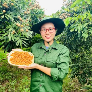 Long nhãn sấy lạnh