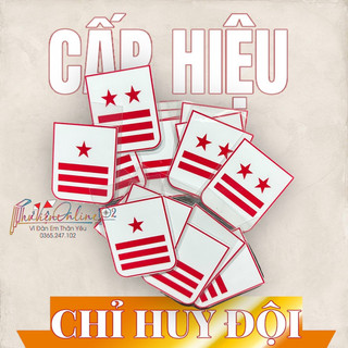 Cấp hiệu Chỉ huy Đội loại cao cấp