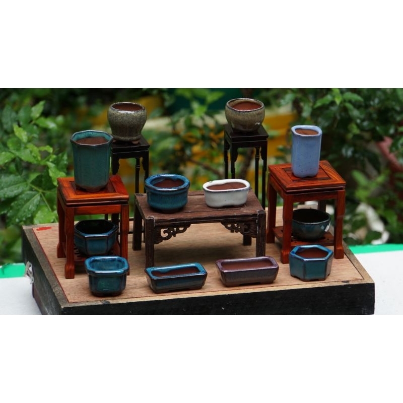 combo chậu siêu mini men tàu 12 chiếc