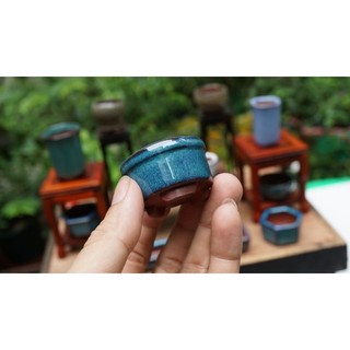 combo chậu siêu mini men tàu 12 chiếc
