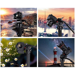 Chân Máy Monopod JieYang JY0506B