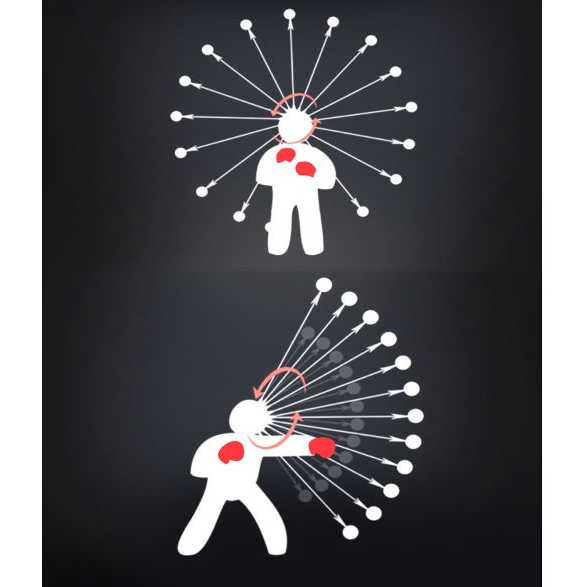 Bóng Đấm Tập Phản Xạ Treo Đầu Cao Cấp Đại Nam Sport