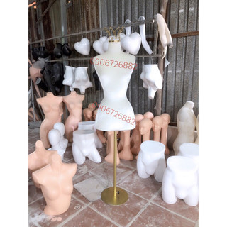Manocanh nữ chóp vươn miện