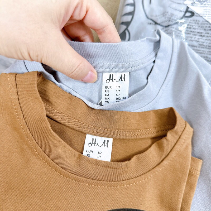 SET 2 BỘ HƯƠU CHIM CÁNH CỤT