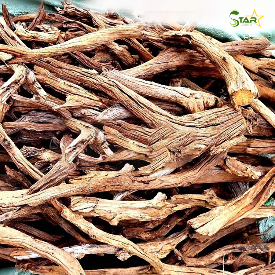 1kg Lũa San Đá Cành Setup, Trang Trí Bể Cá| Hồ Cá