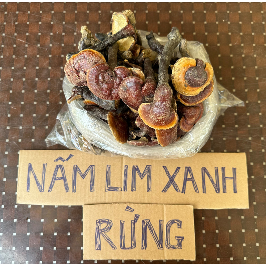 Nấm Lim Xanh Nam Dược Việt (chuẩn rừng)