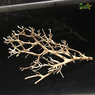 1kg Lũa Xương Chùm Cho Bể Thuỷ Sinh