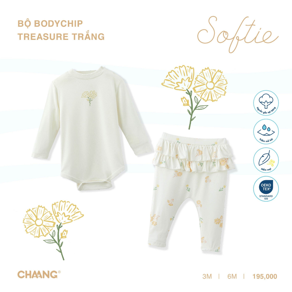 Chaang Bộ body chip Treasure AW2023D10