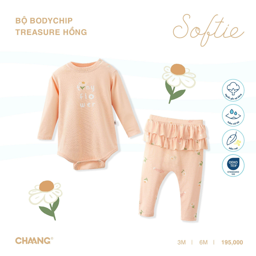 Chaang Bộ body chip Treasure AW2023D10