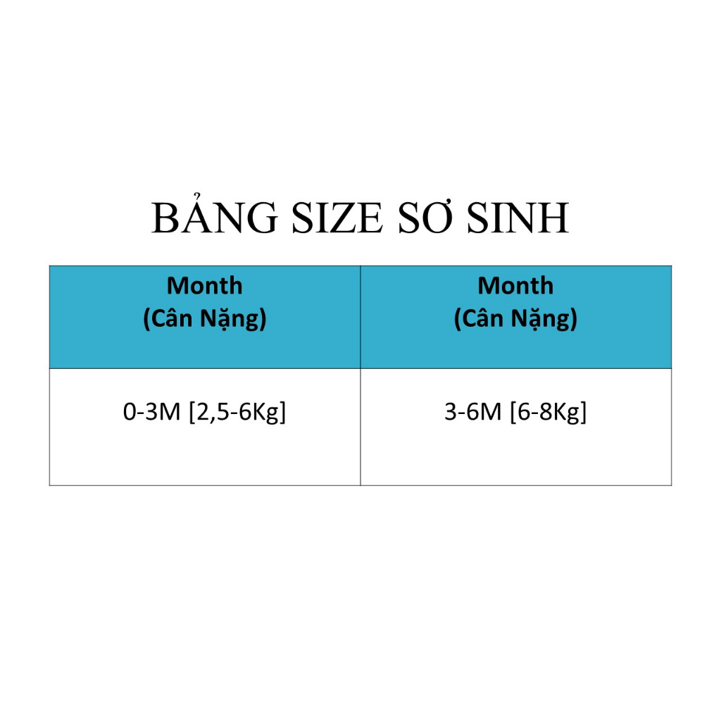 Chaang Bộ body chip Treasure AW2023D10