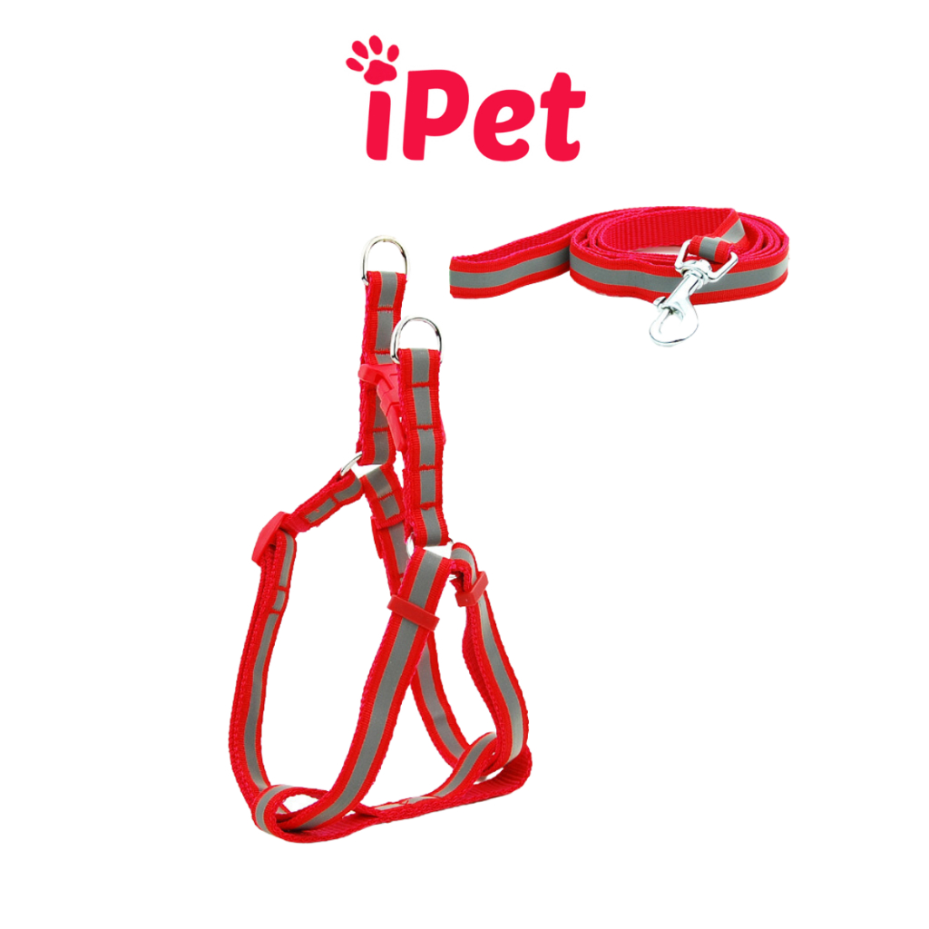 Dây Dắt Kèm Đai Người Dạ Quang Cho Thú Cưng Chó Mèo Dưới 5kg - iPet Shop