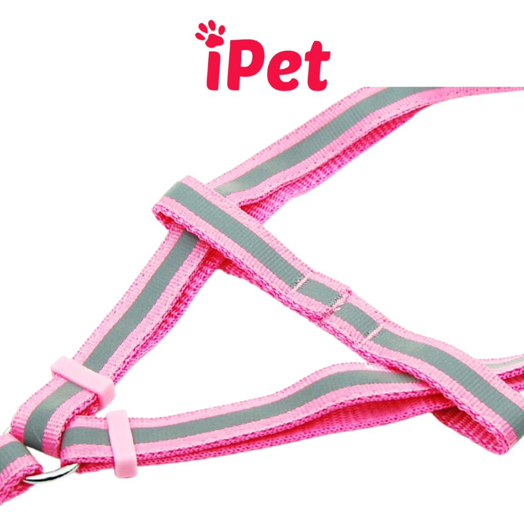 Dây Dắt Kèm Đai Người Dạ Quang Cho Thú Cưng Chó Mèo Dưới 5kg - iPet Shop