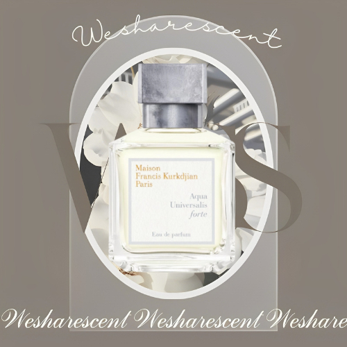 Nước hoa dùng thử MFK Petit Martin, Aqua Celestia, Aqua Universalis Test 𝙬𝙚𝙨𝙝𝙖𝙧𝙚𝙨𝙘𝙚𝙣𝙩