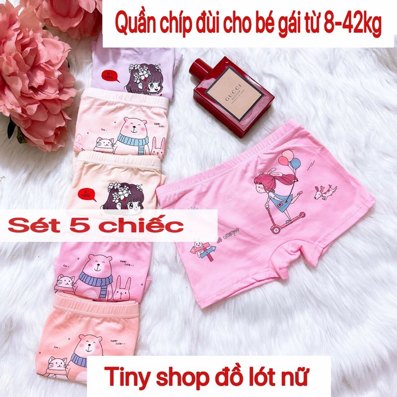 Sét 5 quần chíp cho bé gái (8-42kg), chíp đùi cho bé gái, thun lạnh thoáng mát