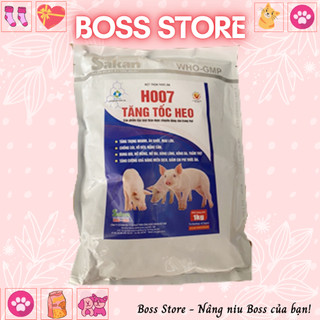 Tăng tốc heo h007