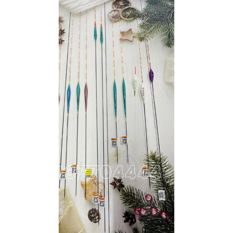 Phao mắt lé - Lý ngư fishing