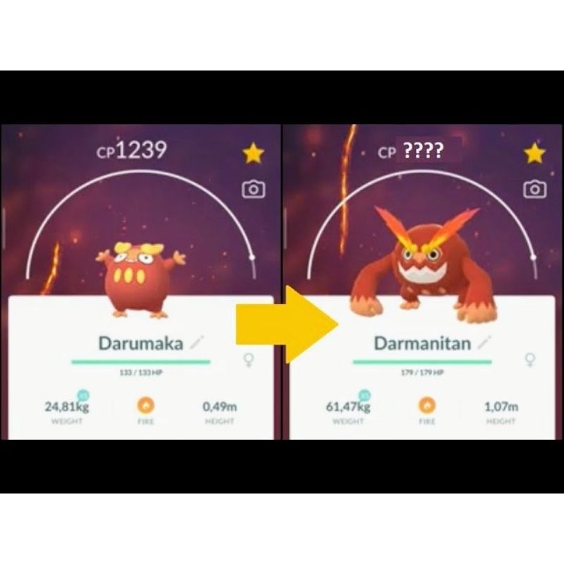 Darumaka Evolution Collection