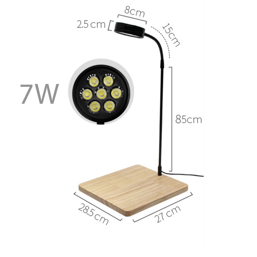 Combo bể thủy sinh tròn 23 x 30cm + đèn đế gỗ 7w