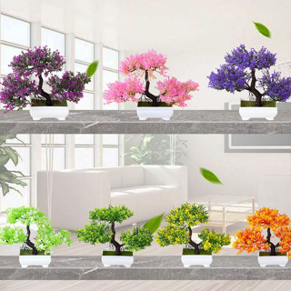 Chậu Cây Giả Phú Quý [KÈM CHẬU] Cao Cấp Trang Trí Nội Thất Kích Cỡ 25cm X 18cm đủ màu sắc