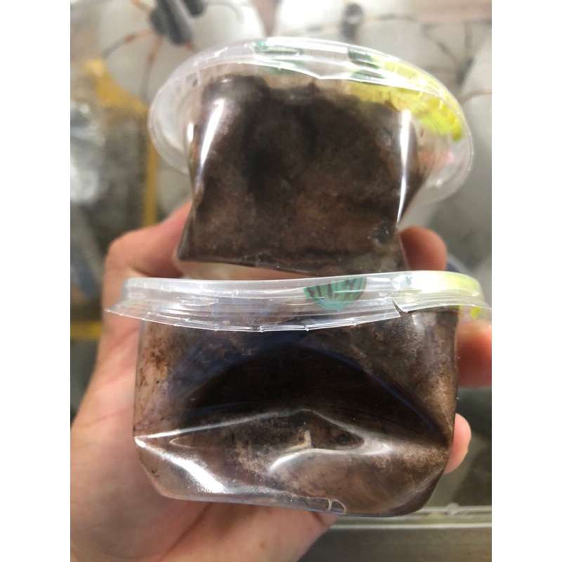 Mồi câu cá Lăng